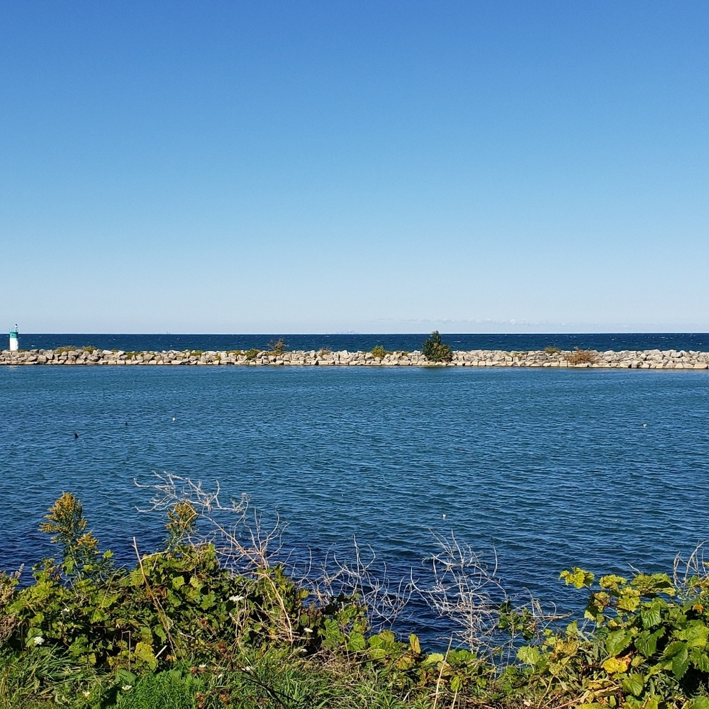 Meet your Posher, Krystle